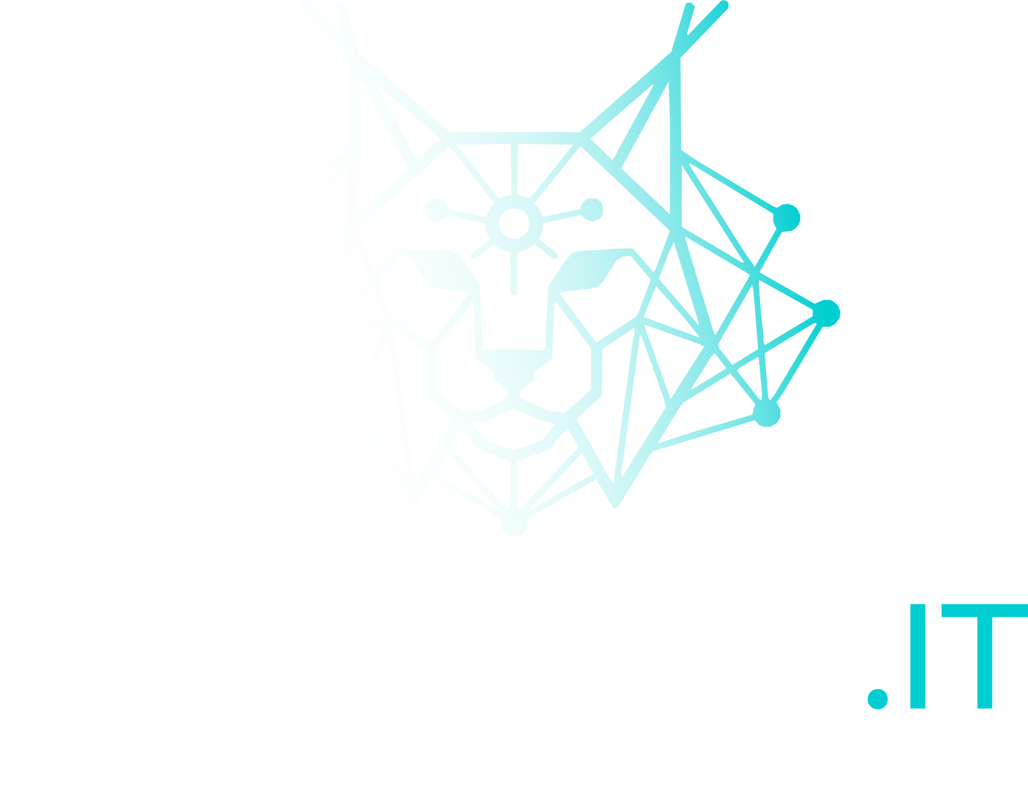 LYNXNODE.IT | Connected Intelligence